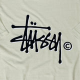 Stussy Spellout T-shirt | Medium