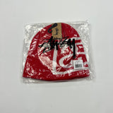 Stussy SS Link Skull Beanie